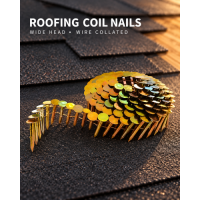 US Roofing Coil Nails